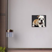 Load image into Gallery viewer, 090f832e-aa65-4e70-9f9c-419ce9bd3b48