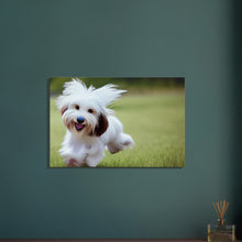 Load image into Gallery viewer, 098ec697-403e-48d9-9cdd-8c343b422218