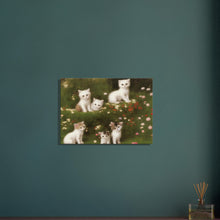 Load image into Gallery viewer, 1122df95-7204-44b6-9d24-7d49bfdb73d7