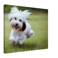 Load image into Gallery viewer, 1c99da59-a22a-4dff-b263-eede1ffe0fd6