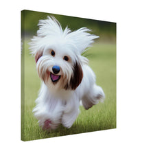 Load image into Gallery viewer, 23f98567-8366-4e4e-9b4a-8652e8703659