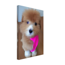 Load image into Gallery viewer, 264b0ad3-47db-44a2-8f53-8871b2c6bd1a