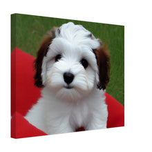 Load image into Gallery viewer, 2c8d3c6a-107c-4341-bcc2-5911c25b12c7