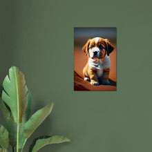 Load image into Gallery viewer, 2f146554-029d-4349-bb8e-c38bf6012243