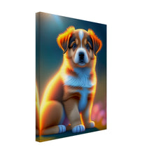 Load image into Gallery viewer, 3262210a-cf0b-43d9-9008-08c89341e19d