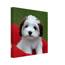 Load image into Gallery viewer, 32e00e33-33fb-43cd-b920-02bf9787879b