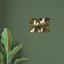 Load image into Gallery viewer, 33c67b25-d08f-4656-96f9-5b7ebc62f984