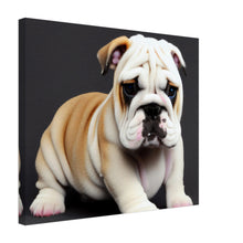 Load image into Gallery viewer, 3d015f5b-2b62-431a-9e64-3cc4ffc5cc24