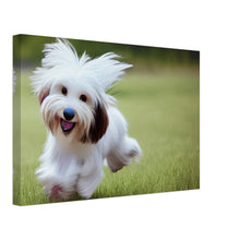 Load image into Gallery viewer, 449f6d8f-c631-4548-8880-5c35c5bee362