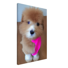 Load image into Gallery viewer, 4ade5125-f197-43f5-899e-9014689119d8