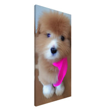 Load image into Gallery viewer, 4ce97077-94e4-43a3-a9cb-ad22d3852e6d
