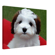 Load image into Gallery viewer, 4d9061e0-7152-4111-b8f1-bc6f3e5bf6a7