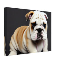 Load image into Gallery viewer, 505bd88e-8ad8-4b66-b3e8-ffdc8886cde8