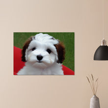 Load image into Gallery viewer, 582c6648-9e42-4ac7-b75b-aa8833c2d58b