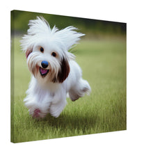 Load image into Gallery viewer, 5d901b5f-a6f1-44b1-bfeb-635ef07c25ef