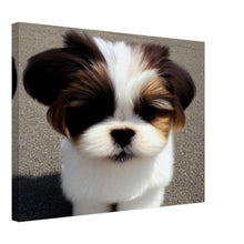 Load image into Gallery viewer, 5dfc3ff8-f617-4323-b4b2-f25ffe84ba9b