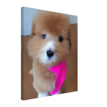 Load image into Gallery viewer, 61fe2144-b135-4e2a-96c7-24ebf12d5173