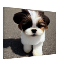 Load image into Gallery viewer, 6576087e-0517-4f18-ab29-dd30dcc21dbe