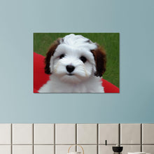 Load image into Gallery viewer, 6620624d-0739-4091-a61e-b808695f1db9