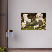 Load image into Gallery viewer, 6938aff1-3578-4833-8414-0846e00b88c5