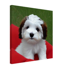 Load image into Gallery viewer, 6df419e8-c210-4545-a154-d05abf8b6132