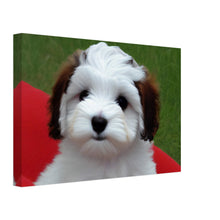 Load image into Gallery viewer, 7061ca74-02e8-4856-87fd-9da5bfbbeebc