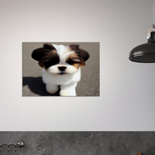 Load image into Gallery viewer, 7187a683-5129-447f-96e5-9cb14de80e6d