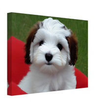 Load image into Gallery viewer, 7741a932-a359-4de9-a0f0-618d7cc7352e