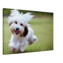 Load image into Gallery viewer, 81597d65-2ed4-42c8-8d95-9539381db09c