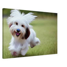 Load image into Gallery viewer, 8477ba8b-9683-40e6-aeff-344f24e6e49a