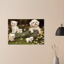 Load image into Gallery viewer, 87b7d57f-98ad-4233-8ba1-6a9d00d6ce7a