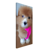 Load image into Gallery viewer, 896fd15c-1336-4ea7-9a08-13aab4746b4c