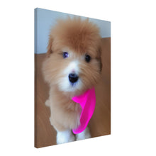 Load image into Gallery viewer, 8acc09ca-4a84-40bf-9e74-36c0c415e5b8