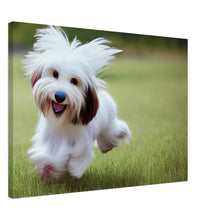 Load image into Gallery viewer, 8b81b390-b032-4190-8d88-b09093688bd7