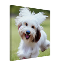 Load image into Gallery viewer, 8cf3b5ad-5324-44fc-9dc9-cb83da6e8b3e