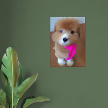 Load image into Gallery viewer, 981cd020-70bc-48bc-87e6-f9f86e47bfaa