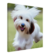 Load image into Gallery viewer, a3732147-78ee-4db0-9ad9-ac32b1e03a35