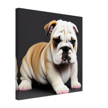 Load image into Gallery viewer, a483c96d-ea0d-48d6-ac07-5715e21f84e9