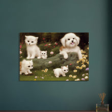 Load image into Gallery viewer, b225cfea-4a63-4e14-9ce6-d076bdb1ca54