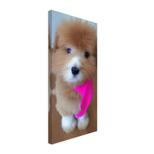 Load image into Gallery viewer, b5ad0f8a-c17e-4f53-b38d-b8c540b3a0fe