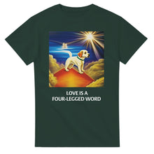 Load image into Gallery viewer, b890f66a-8d76-4c12-a477-20e429fc9f08