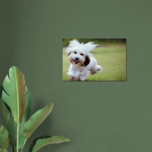Load image into Gallery viewer, ba19992d-b7b3-413d-ba4c-cd78270c1974