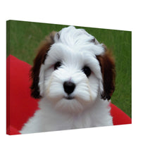 Load image into Gallery viewer, bd944df6-32fd-4ea7-96b2-33d82b108be8