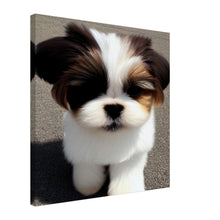 Load image into Gallery viewer, d204d31e-f3d8-4117-a063-96ac6f578aa6