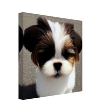 Load image into Gallery viewer, d94e060c-f1c2-464e-b5f6-05adeb49e3ec