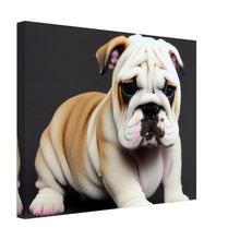 Load image into Gallery viewer, e32eb5d8-5622-461c-96d1-34708f775aa7