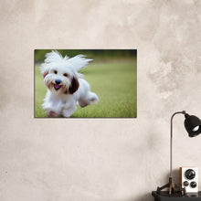 Load image into Gallery viewer, f2aec4cd-921d-40bb-b927-e3bddc01c00a