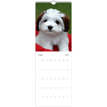 Load image into Gallery viewer, 0e54ae40-c9ea-4445-bc9a-9db2aeea8b24

