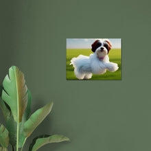 Load image into Gallery viewer, b0431d6e-4705-4aa0-81ea-664a86e7a55e
