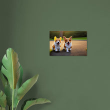Load image into Gallery viewer, bb118827-b352-46e8-a949-ffe64df99247
